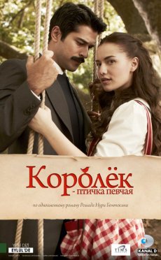 Королек - птичка певчая