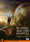 На солнце, вдоль рядов кукурузы