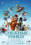 Снежные гонки