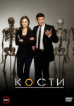 Кости