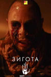 Зигота