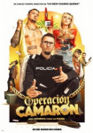 Операция «Камарон»